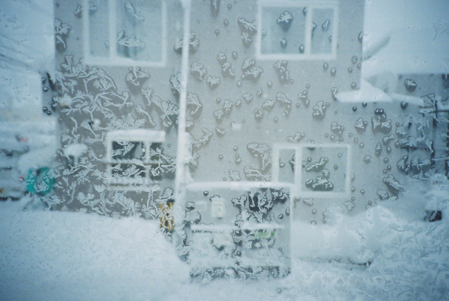 Winter prints